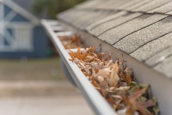 Leaf Barrier Installation in Manchester
