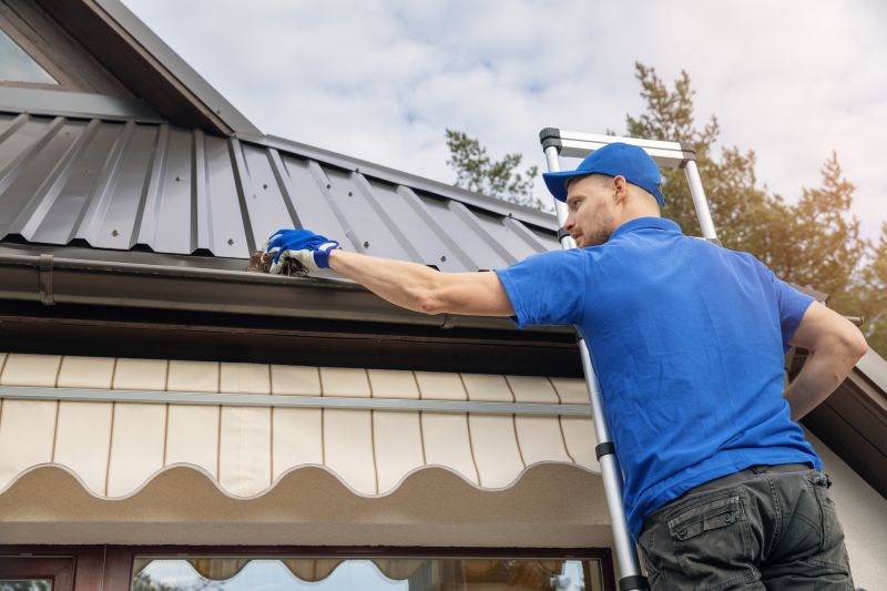 Gutter Maintenance Services